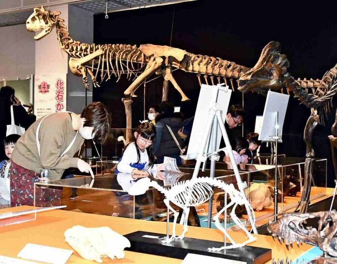  Exhibits illustrating the evolution of dinosaurs and mammals on display at the museum in Bando, Ibaraki Pref.;  Total of 351 items to display

