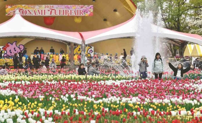 Tulip Fair opens with 300 varieties, 3 million flowers in Tonami, Toyama Pref.;  Festival until May 5

