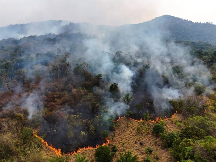 A drone view of fire and smoke from burning vegetation rising in a rainforest in Canta, state of Roraima, Brazil, on Feb. 29. 