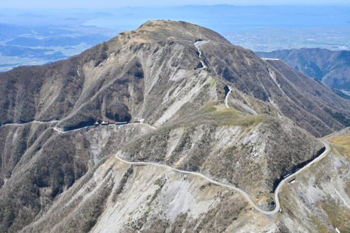 Deer are causing damage to Mount Ibuki, known for its rare alpine flowers

