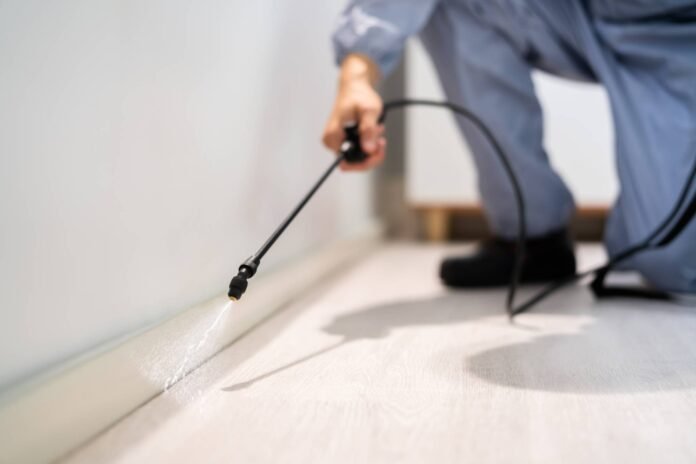 Increase in young Japanese consumers overpaying for pest control services

