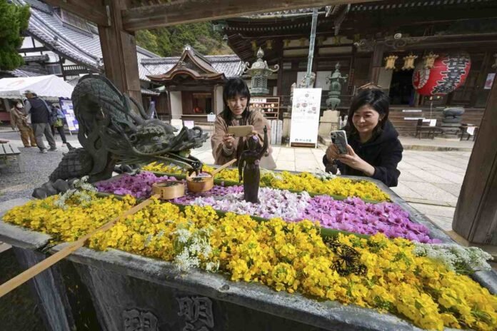 Kyoto: Visitors enjoy flowery hand washing at the temple

