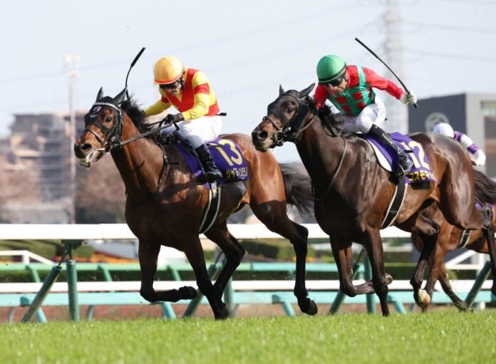 Strong field of participants ready for the 91st edition of Tokyo Yushun


