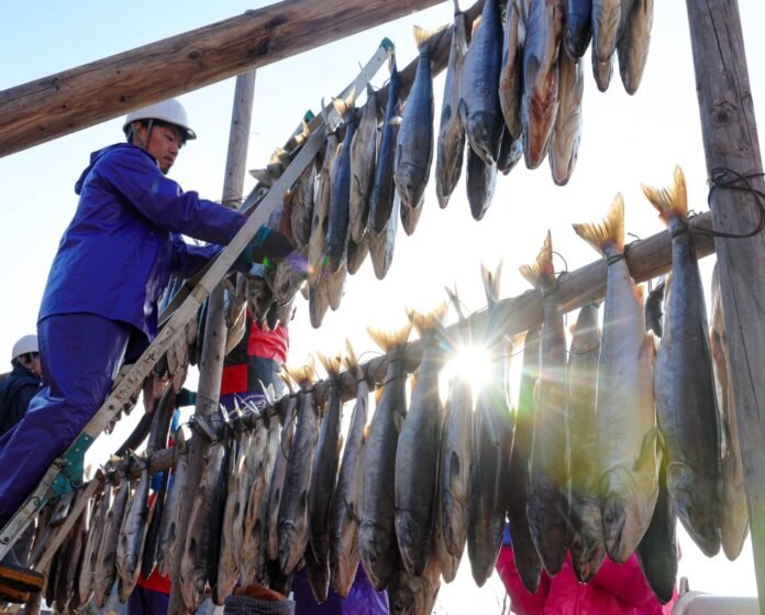 The Sapporo court ruling on Ainu fishing rights raises difficult questions

