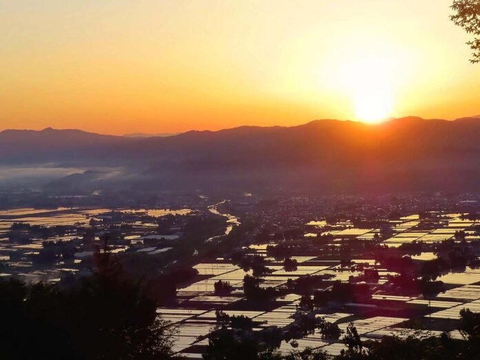 Tours with beautiful views of rice fields reflecting the morning sun starting in Yamagata Pref.

