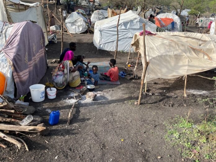 Attacks have left Sudanese refugees stranded in Ethiopian forests

