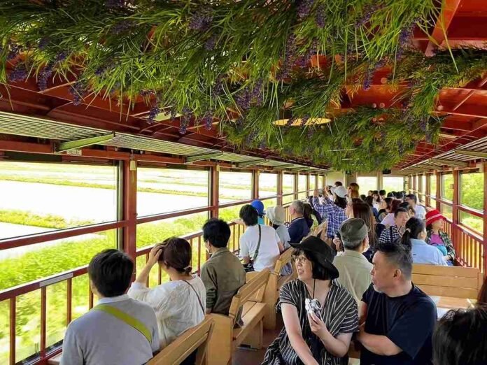 Hokkaido Sightseeing Train offers breathtaking views of the Tokachi Mountains and lavender fields


