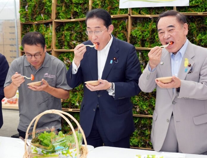 Prime Minister Fumio Kishida eats tomatoes in Hokuto, Yamanashi Prefecture, on Saturday.  