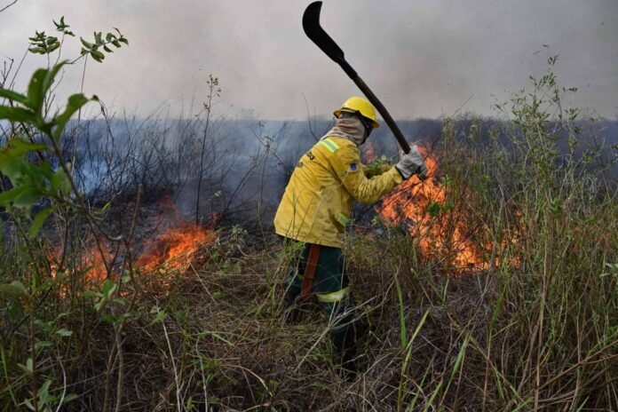 A firefighter works in a rural area of Corumba, Mato Grosso do Sul state, Brazil, on Wednesday.  