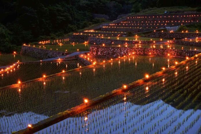 Traditional Japanese rice terraces in Fukuoka village illuminated by 1000 torches

