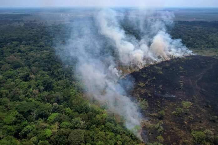 An aerial view of a burnt area in the Amazon rainforest near the Lago do Cunia Extractive Reserve, on the border of the states of Rondonia and Amazonas, northern Brazil, on Aug. 31, 2022. Brazil recorded 13,489 fire outbreaks in the Amazon in the first half of this year, according to satellite data available on Monday. 
