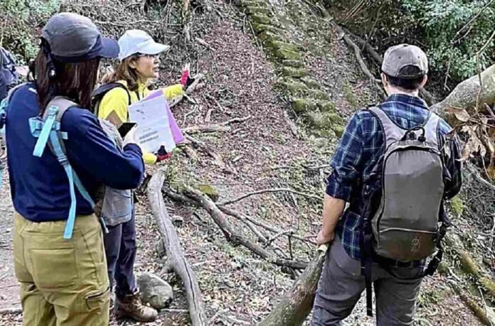 Centre established to provide guides for Japan's Mount Nokogiri; tailor-made English-language tours of the mountains available

