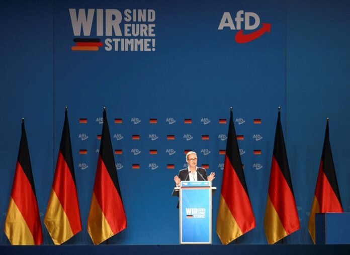 German far-right leader sees Le Pen's victory in France as a model

