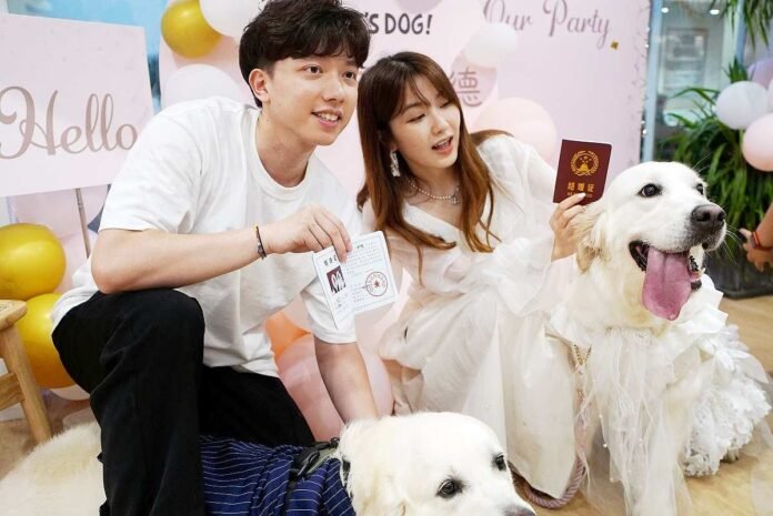 Puppy love: Dog weddings on the rise in China

