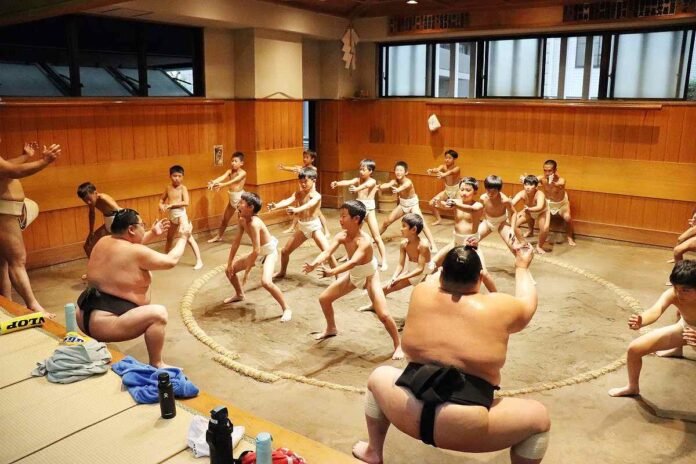 The Sumo Scene / Summer Children's Holiday event can bring more to the ring

