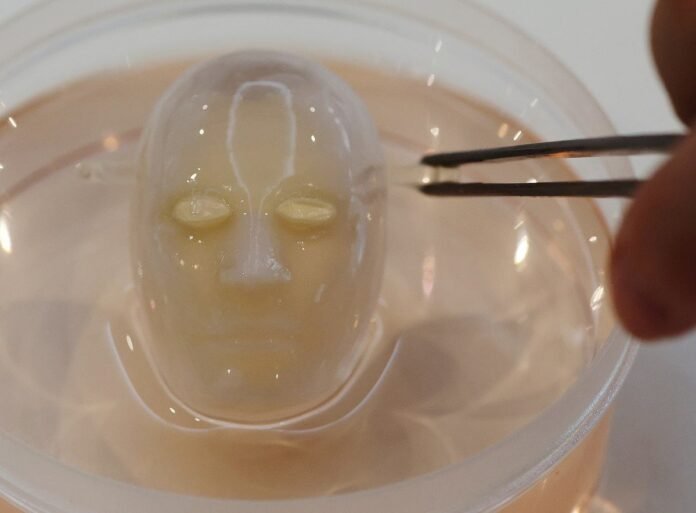 University of Tokyo scientists create 'smiling' robot face with living skin

