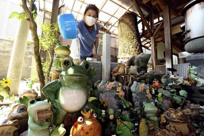 Kochi: Miroku Shrine Overflows with 2,000 Frog Items Bringing Comfort to Cancer Patients

