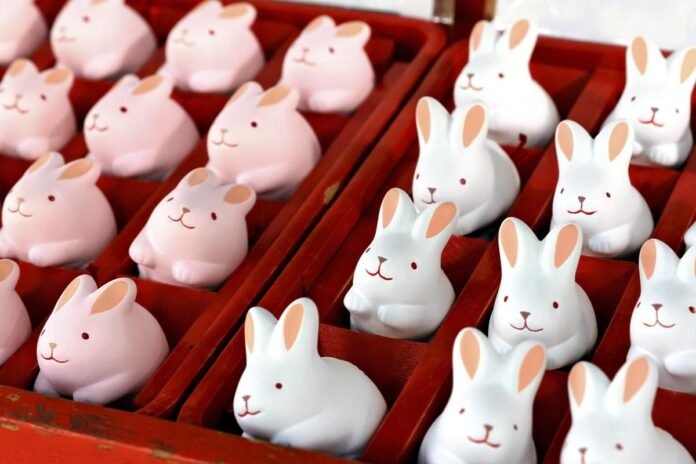 Kyoto: Bunny Temple Hopping with Cute Cosmopolitan Charm

