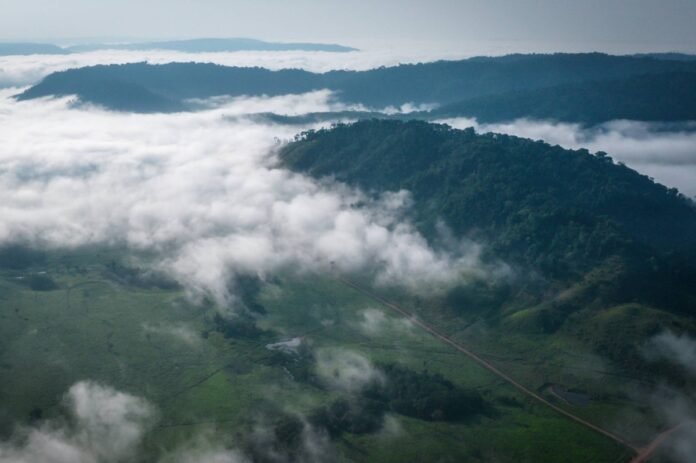 Global banks want to convert biodiversity into money

