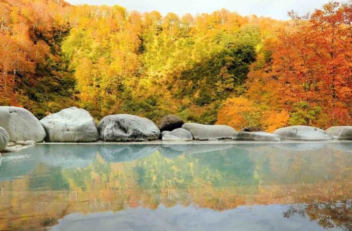 Japan Tourism / Rare milky white hot springs at the foot of Autumn Mountain; Hotel Hanabun in Niigata Pref. Captures hearts with its views, hot springs and food

