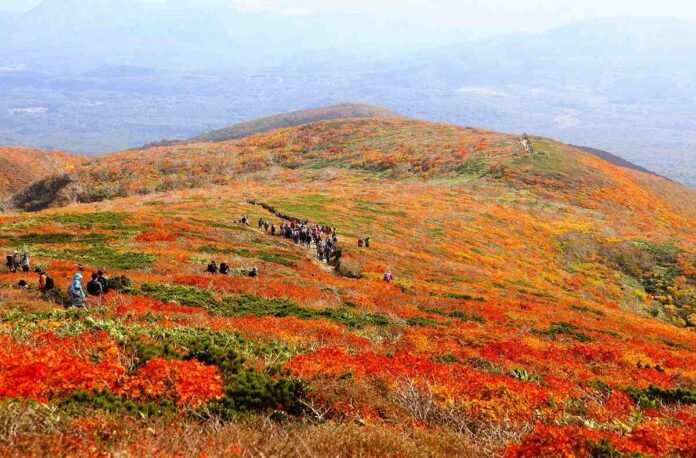 Mount Kurikoma, in Japan's Tohoku region, shows off beautiful autumn leaves

