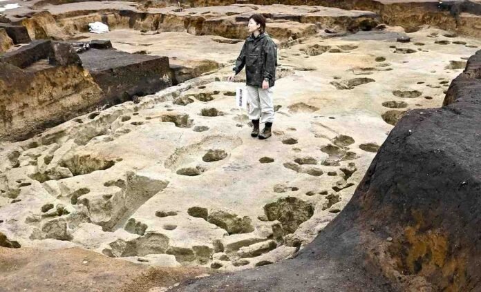 One of the largest Jomon Pit Houses excavated

